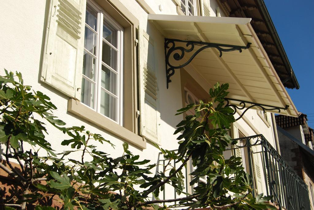 Alte Apotheke Bed & Breakfast Karlsbad Exteriér fotografie